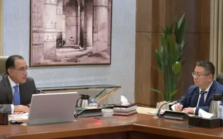 مدبولي يلتقي نائب رئيس جريت وول موتورز لاستعراض مشروع السيارات وقطع الغيار بالمنطقة الاقتصادية لقناة السويس