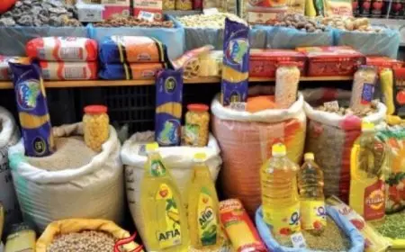 شعبة المستوردين: الأسرة المكونة من 4 أفراد تحتاج 10 آلاف جنيها شهريا للسلع الأساسية