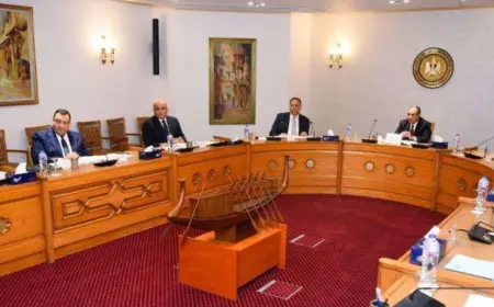 عبد العاطي يشارك في الاختبار الشفوي للمتقدمين لمسابقة التعيين بوزارة الخارجية