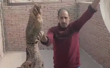 خشب في الأكفان.. أحمد موسى يكشف مفاجآت عن فيديو هدم مقابر العبور