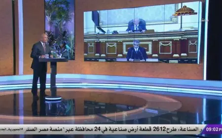 ليست معارضة.. أحمد موسى: كل من يحارب الجيش العربي السوري داعشي إرهابي