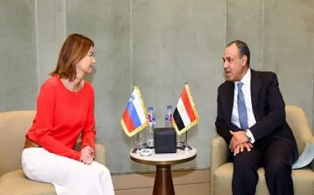 عبد العاطي يشيد بالموقف السلوفيني المؤيد للحقوق المشروعة للشعب الفلسطيني