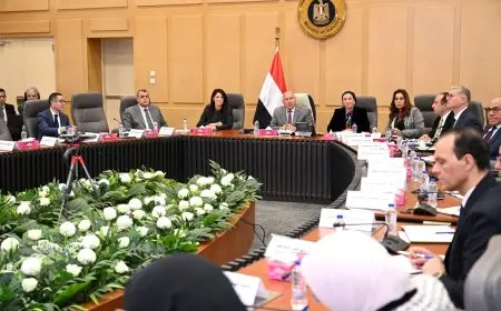 مصنع الألومنيوم فى نجع حمادى.. كامل الوزير يكشف تفاصيل خطة تطويره