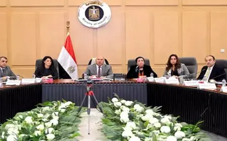 كامل الوزير: خطة لتطوير مصنع الألومنيوم بنجع حمادي تبدأ في 2025