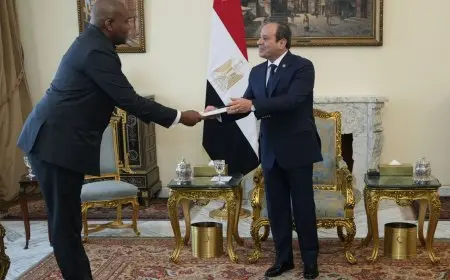 الرئيس السيسي يتسلم رسالة من نظيره الكونغولي لتعزيز العلاقات بين البلدين