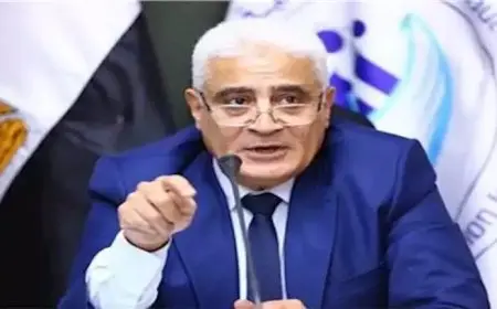 زيادة المعاش.. ماذا يعني رفع الحد الأدنى والأقصى للاشتراك التأميني؟