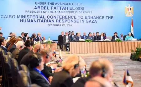 أيمن الصفدي: مؤتمر الاستجابة الإنسانية لغزة ينعقد فى لحظة مهمة حيث تزداد الكارثة