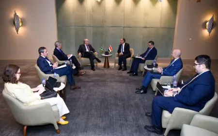 وزير الخارجية يلتقي نظيره البرازيلي على هامش «الاستجابة الإنسانية في غزة»