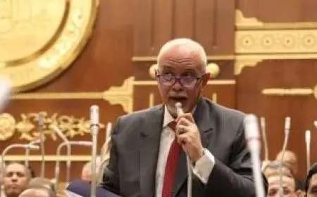 النائب حازم الجندي: مؤتمر القاهرة لدعم غزة رسالة عالمية للحفاظ على حقوق الشعب الفلسطيني