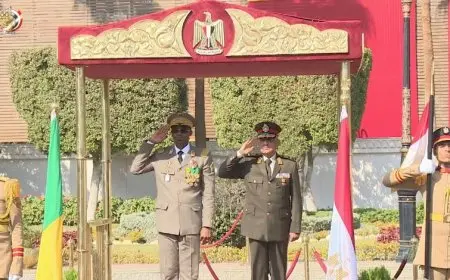 وزير الدفاع يلتقي وزير الدفاع الوطني وشئون المحاربين القدامى لجمهورية مالي