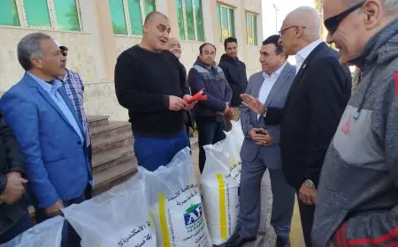 الزراعة توزيع 50 طن سلفات نشادر على مزارعي شمال سيناء بعد غياب لسنوات
