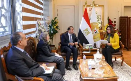 التنمية المحلية وبرنامج الأمم المتحدة الإنمائي يبحثان مجالات التعاون المشترك