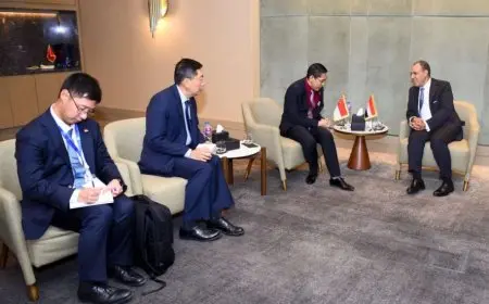 وزير الخارجية: سنغافورة ضمن أكبر الدول الآسيوية التي يوجد لديها استثمارات في مصر