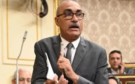 النائب إيهاب منصور: اليتيم بقانون الضمان الاجتماعي الجديد حتى سن 26 عاما
