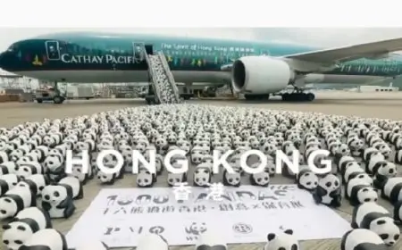 تماثيل “الباندا” وسيلة هونج كونج الجديدة لإنعاش السياحة