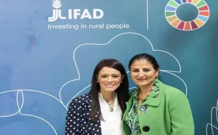 المشاط: شراكة بنّاءة مع “إيفاد” لتشجيع استثمارات القطاع الخاص بمشروعات الأمن الغذائي