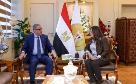 وزيرة التنمية المحلية تتابع مع محافظ الفيوم جهود تنفيذ مبادرتي بداية وحياة كريمة