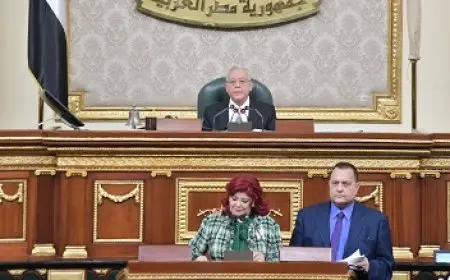 مجلس النواب يوافق نهائيا على 5 مشروعات قوانين لوزير البترول للتنقيب في مناطق بالجمهورية