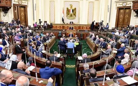 النواب يوافق نهائيا على اكتتاب مصر بـ414 سهما في زيادة رأس مال البنك الأوروبي لإعادة الإعمار