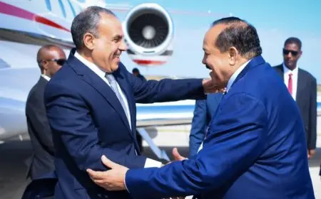 نقل رسالة من الرئيس السيسي.. تفاصيل أول زيارة لوزير الخارجية للسودان منذ اندلاع الأزمة