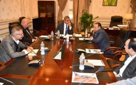 طلب إحاطة بشأن توقف أعمال تجديد قصر ثقافة سوهاج.. وثقافة النواب توصي بتطويره والانتهاء منه