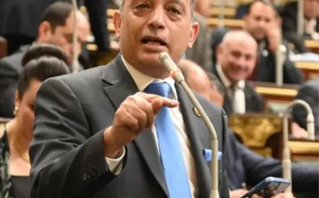 النائب فريدي البياضي: قدمنا تعديلات على مشروع قانون الضمان الاجتماعي ليخرج بصورة أفضل