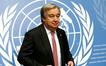 الجمعية العامة للأمم المتحدة تعتمد قرارين بشأن فلسطين