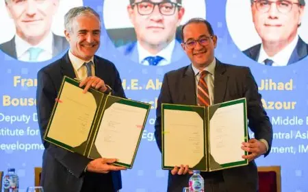 المالية: مركز المساعدة الفنية للشرق الأوسط وشمال أفريقيا يلعب دورا كبيرا في تعزيز جهود الاستقرار الاقتصادي