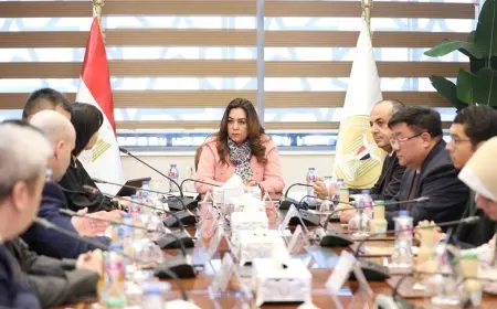 وزيرة التنمية المحلية تبحث مع وفد من شركة صينية مجالات التعاون المشترك