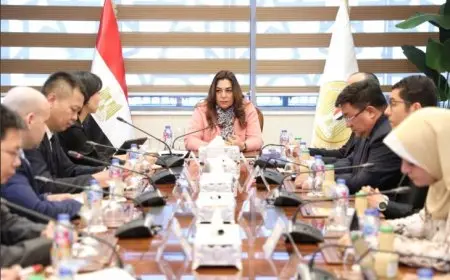 وزيرة التنمية المحلية تبحث مع وفد شركة الأمل الجديد الصيني مجالات التعاون المشترك