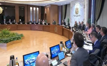 مجلس الوزراء يوافق على الرؤية المقترحة لتنظيم سوق السيارات لعام 2025