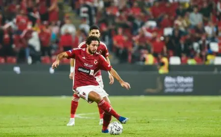 محمد هاني وكريم فؤاد يواصلان التأهيل بعد العودة من النمسا