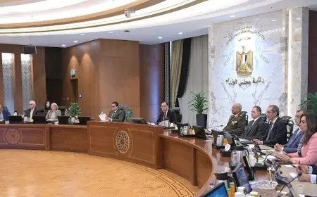 الحكومة: تخصيص مساحات أرض لصالح «مستقبل مصر» بهدف الاستصلاح والاستزراع