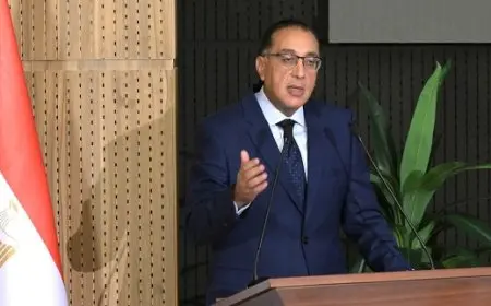 مدبولي: الإعلان عن تفاصيل برنامج الأطروحات الأسبوع المقبل