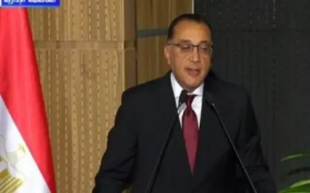 مدبولي: الحكومة وافقت على رؤية وزير الاستثمار لتنظيم سوق السيارات للعام المقبل