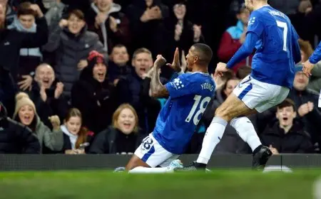 أشلي يونغ يتجاوز غيغز في قائمة أكبر هدافين البريمييرليغ