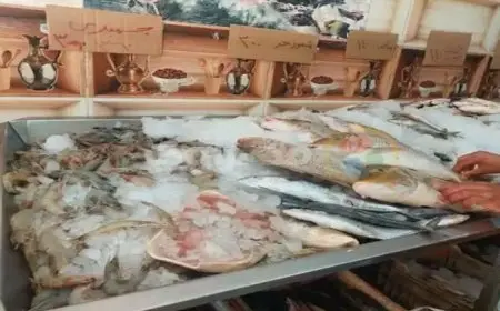 72 جنيها لكيلو البلطي.. أسعار الأسماك اليوم الخميس في سوق العبور