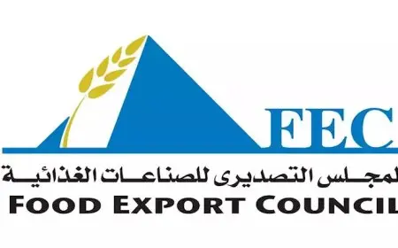 زادت 18%.. لماذا ارتفعت الصناعات الغذائية المصرية لأعلى مستوى في 10 أشهر؟