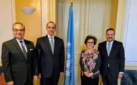 وزير الشئون النيابية يلتقي نائب المفوض السامي لحقوق الإنسان بـ جنيف