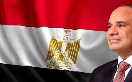 الرئيس السيسي يصل إلى الدنمارك في مستهل جولته الأوروبية