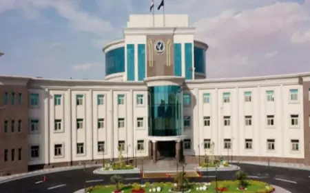 وكيل دينية النواب: مراكز الإصلاح في مصر تشهد نقلة نوعية هائلة