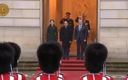 السيسي يصل إلى القصر الملكي الدنماركي وسط مراسم استقبال رسمية