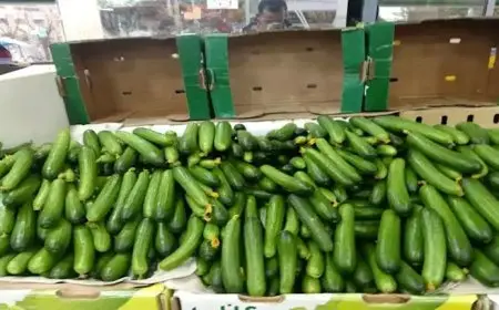 ارتفاع الليمون والخيار.. أسعار الخضراوات والفاكهة في سوق العبور اليوم