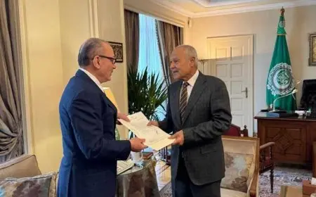 تعيين السفير التركي بالقاهرة مراقبا دائما لبلاده لدى الجامعة العربية