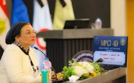 وزيرة البيئة تؤكد ضرورة دمج البعد البيئي في العمل الدبلوماسي لدعم السياسات التنموية