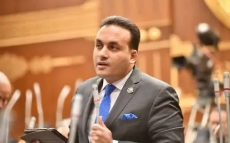 برلماني: الدولة عازمة على استكمال جهود التنمية دون الالتفات للشائعات