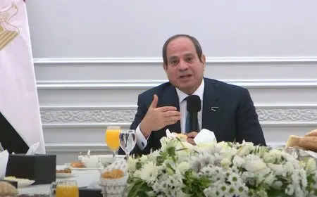 الرئيس السيسي يلتقي رئيس شركة كوبنهاجن للبنية التحتية لبحث استثمارات الطاقة