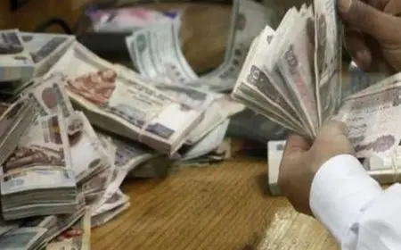 مواعيد صرف معاشات شهر يناير 2025 بالزيادة الجديدة