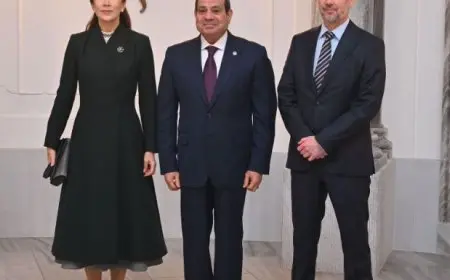 وزير الخارجية: الرئيس السيسي يوقع اتفاقية شراكة استراتيجية مع الدنمارك غدا