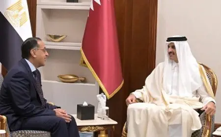 أمير قطر يتلقى رسالة شفوية من الرئيس السيسي